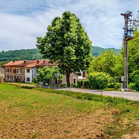 Il Tiglio All'ombra Del Tiglio, C'e Il Bosco Nyaraló